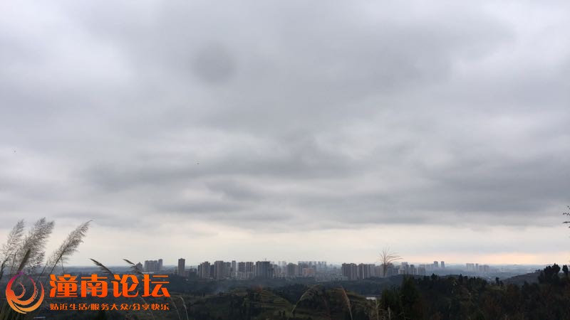 qzENNVZ5288q.jpg