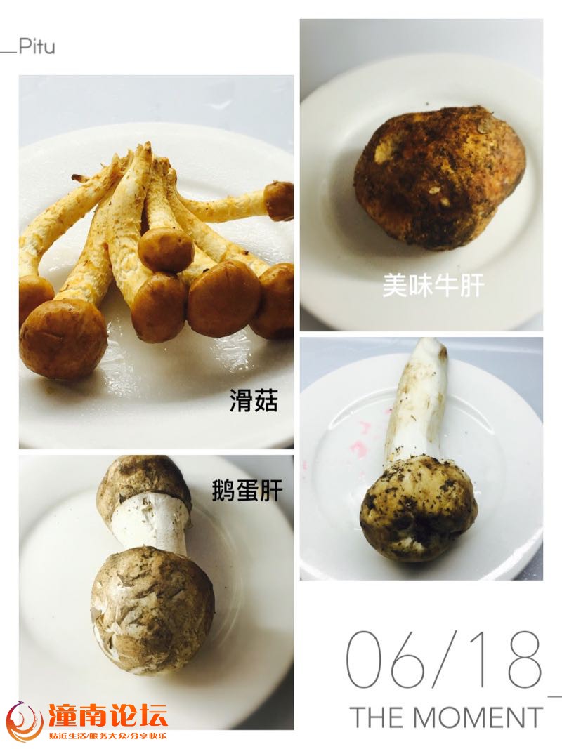 y923222D6sX0.jpg