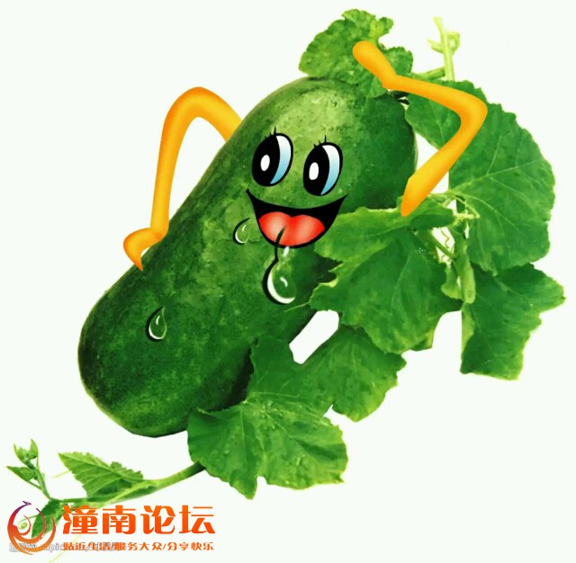 WjjdFHB203wL.jpg