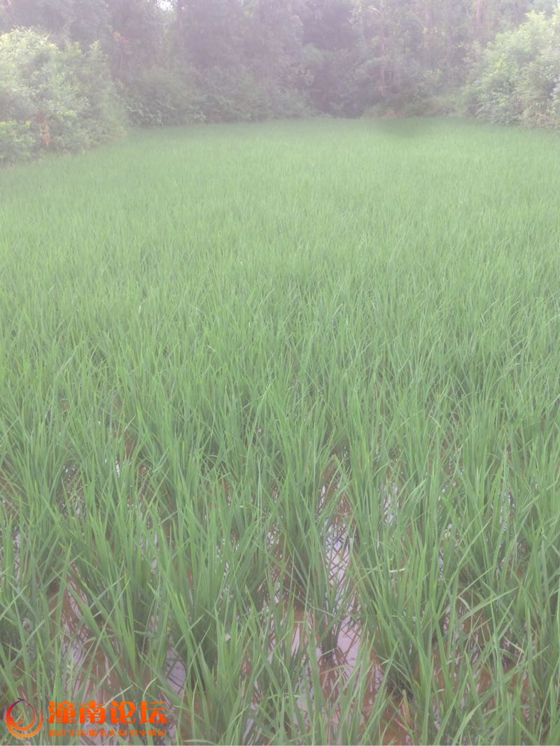 94m339mJF68X.jpg