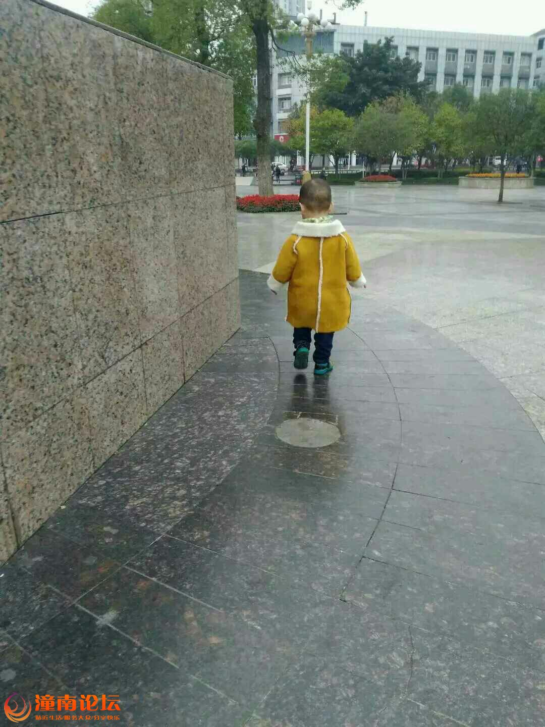 Ij915J1D1b3G.jpg