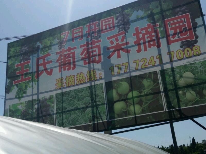 IMG_20170712_102602.jpeg