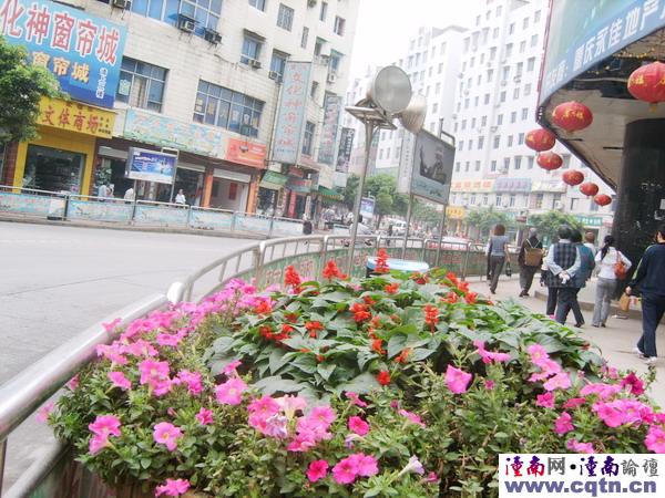 发张老城的图片