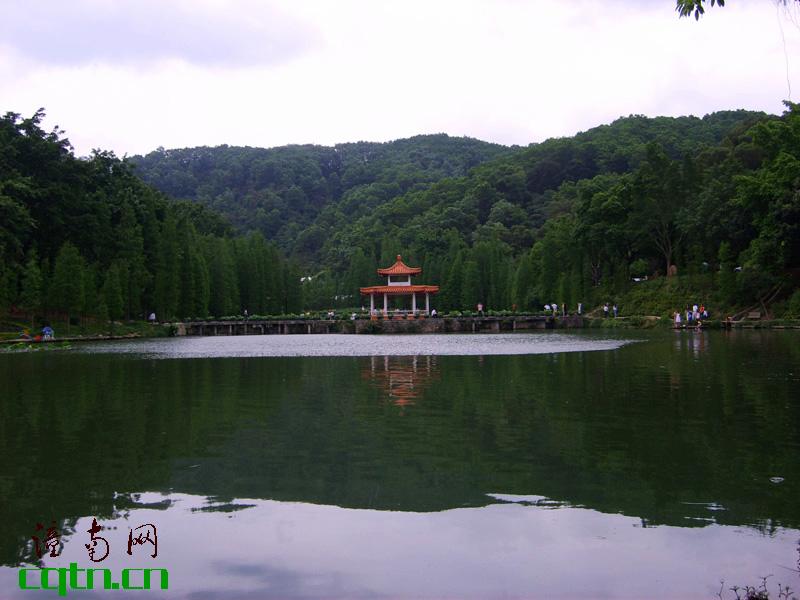深圳仙湖