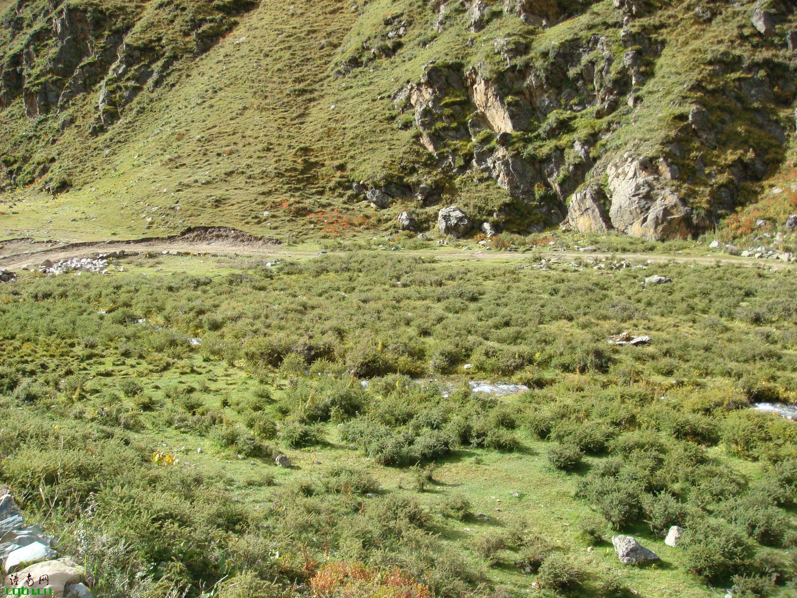 西藏山区风景