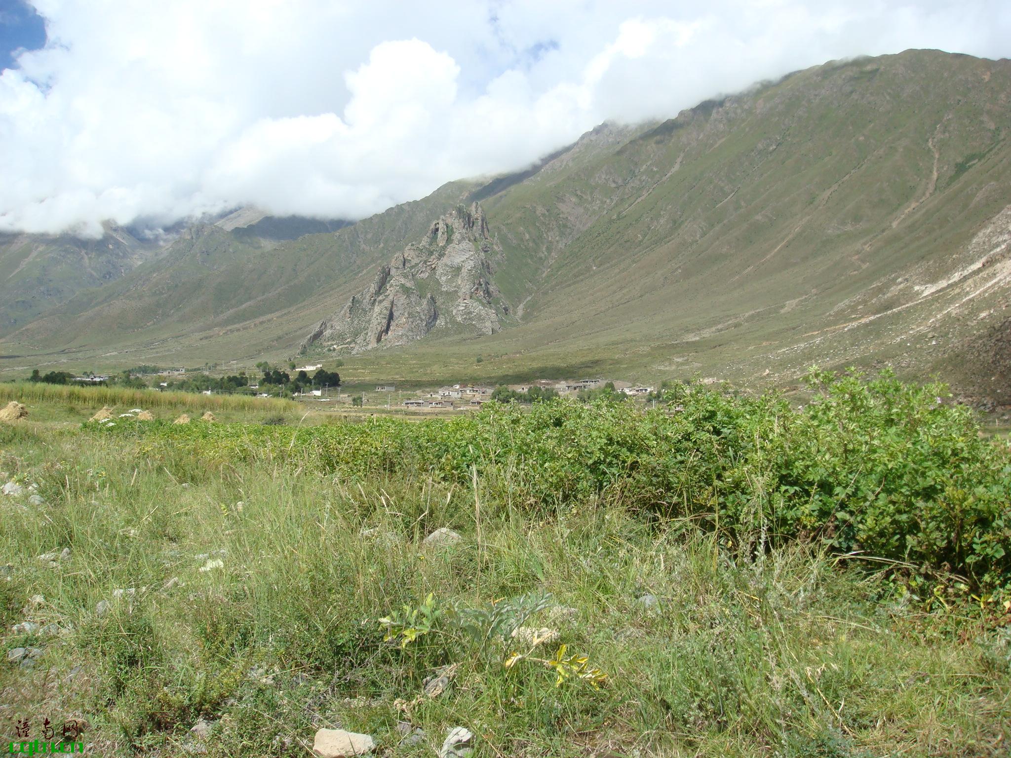 西藏山区风景