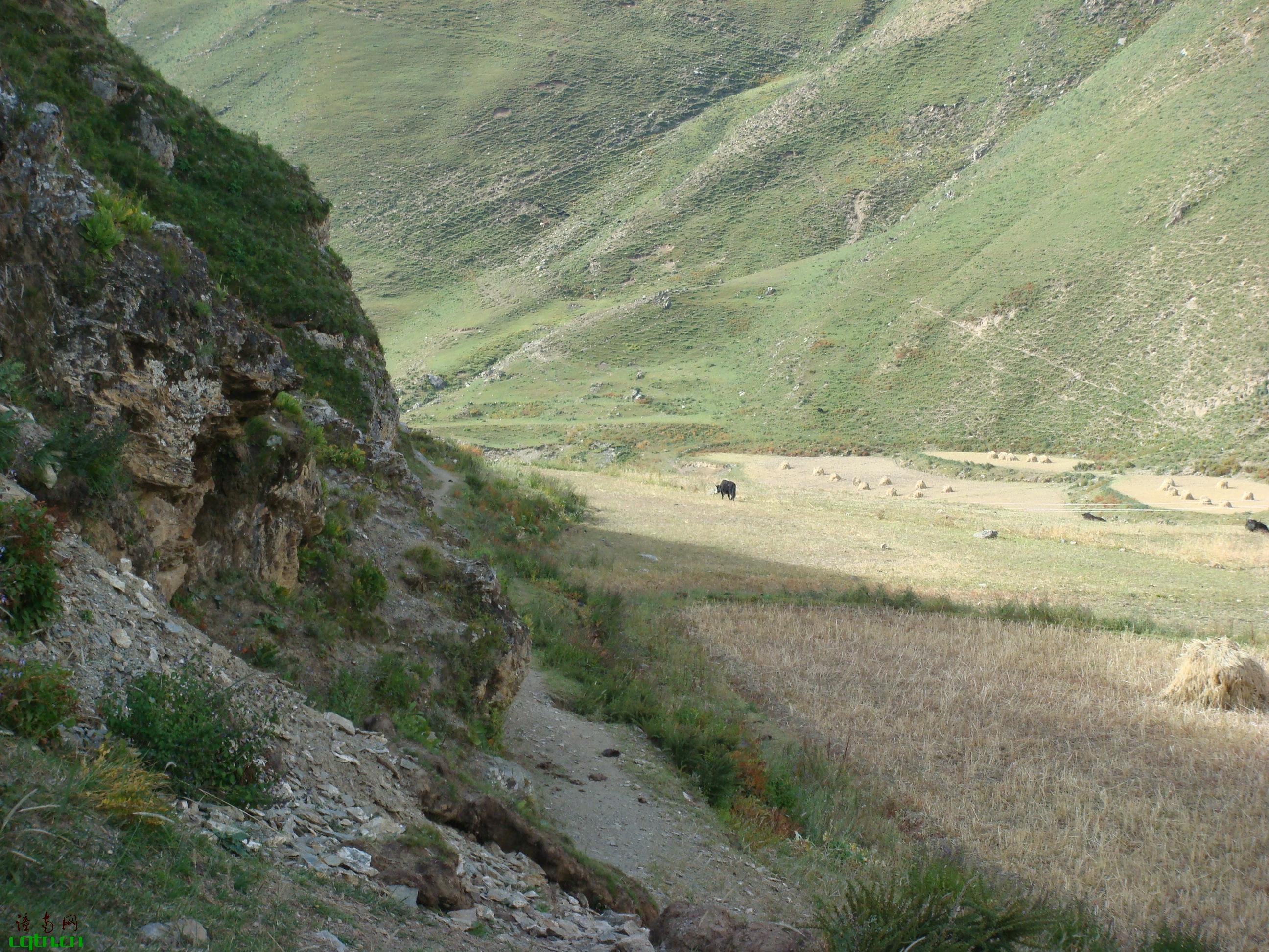 西藏山区风景