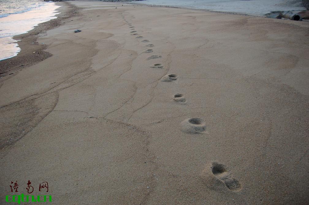 沙滩上我走过的足迹