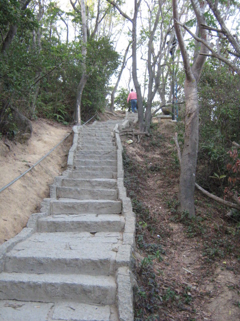 景山小路