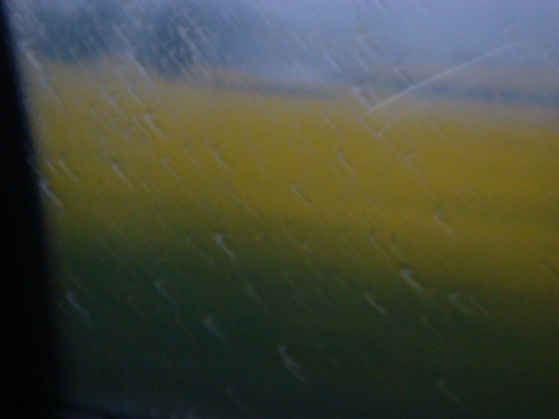 下雨的清晨，车窗外
