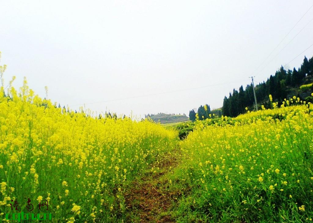 风景 (31).jpg