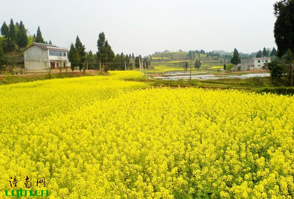 风景 (23).jpg