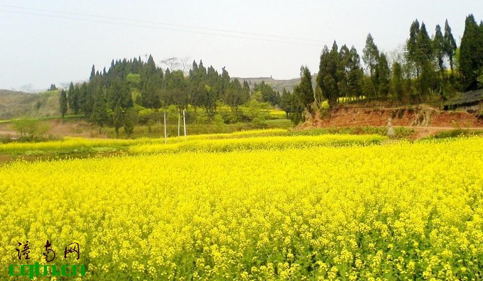 风景 (21).jpg