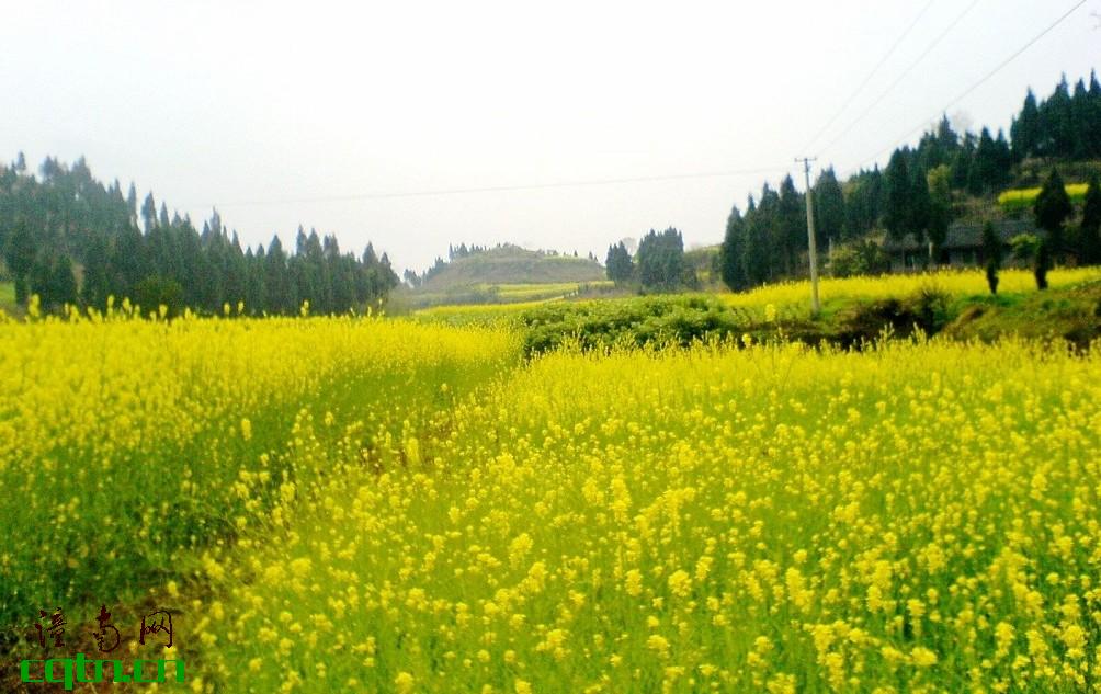 风景 (28).jpg