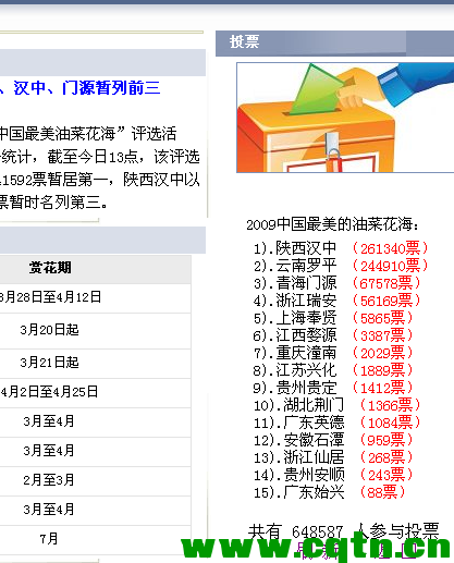 投票.png