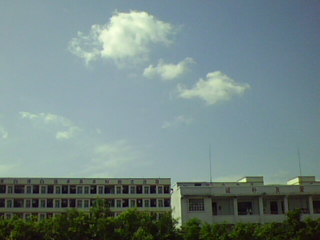 IMG1606A.jpg