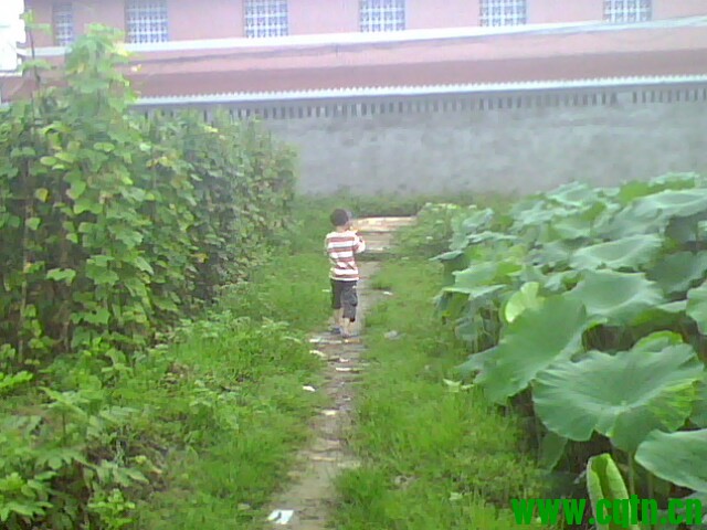 IMG1756A.jpg