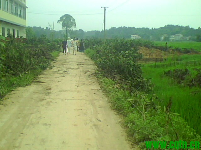 IMG1703A.jpg