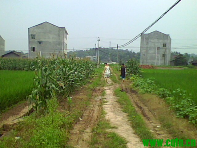 IMG1677A.jpg