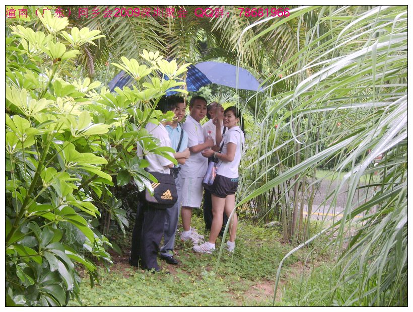 下雨啦，大家在躲雨，结果很多老乡都湿身了