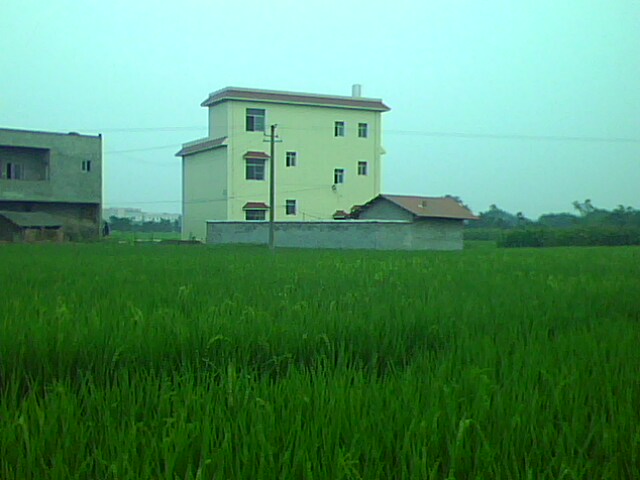 IMG1867A.jpg