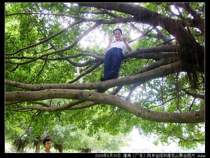 爬上树的帅哥。