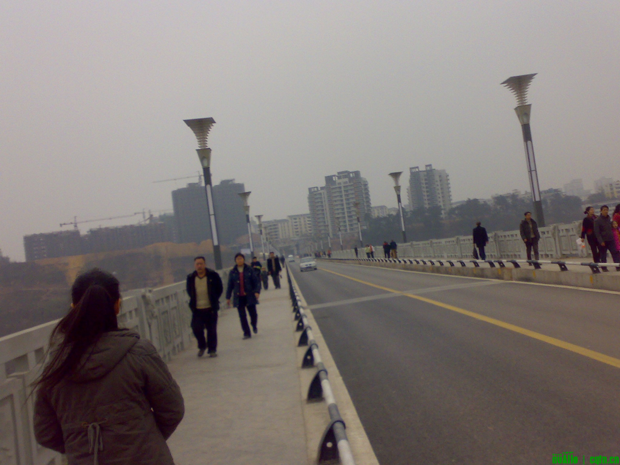 20100222262.jpg