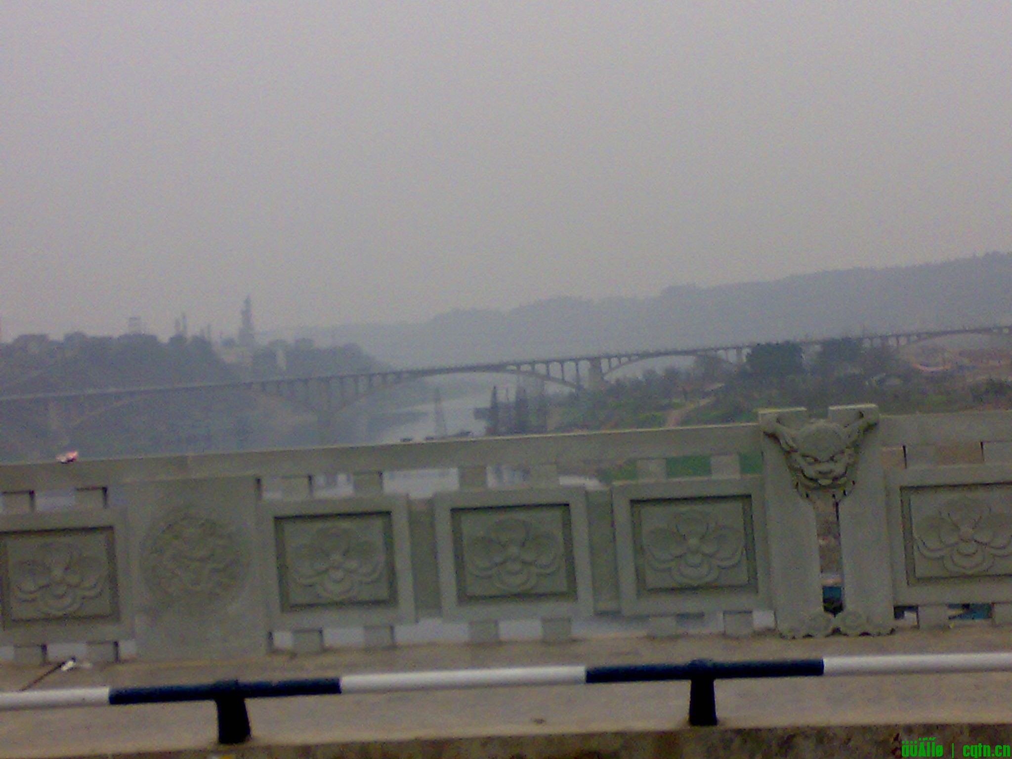 20100222267.jpg