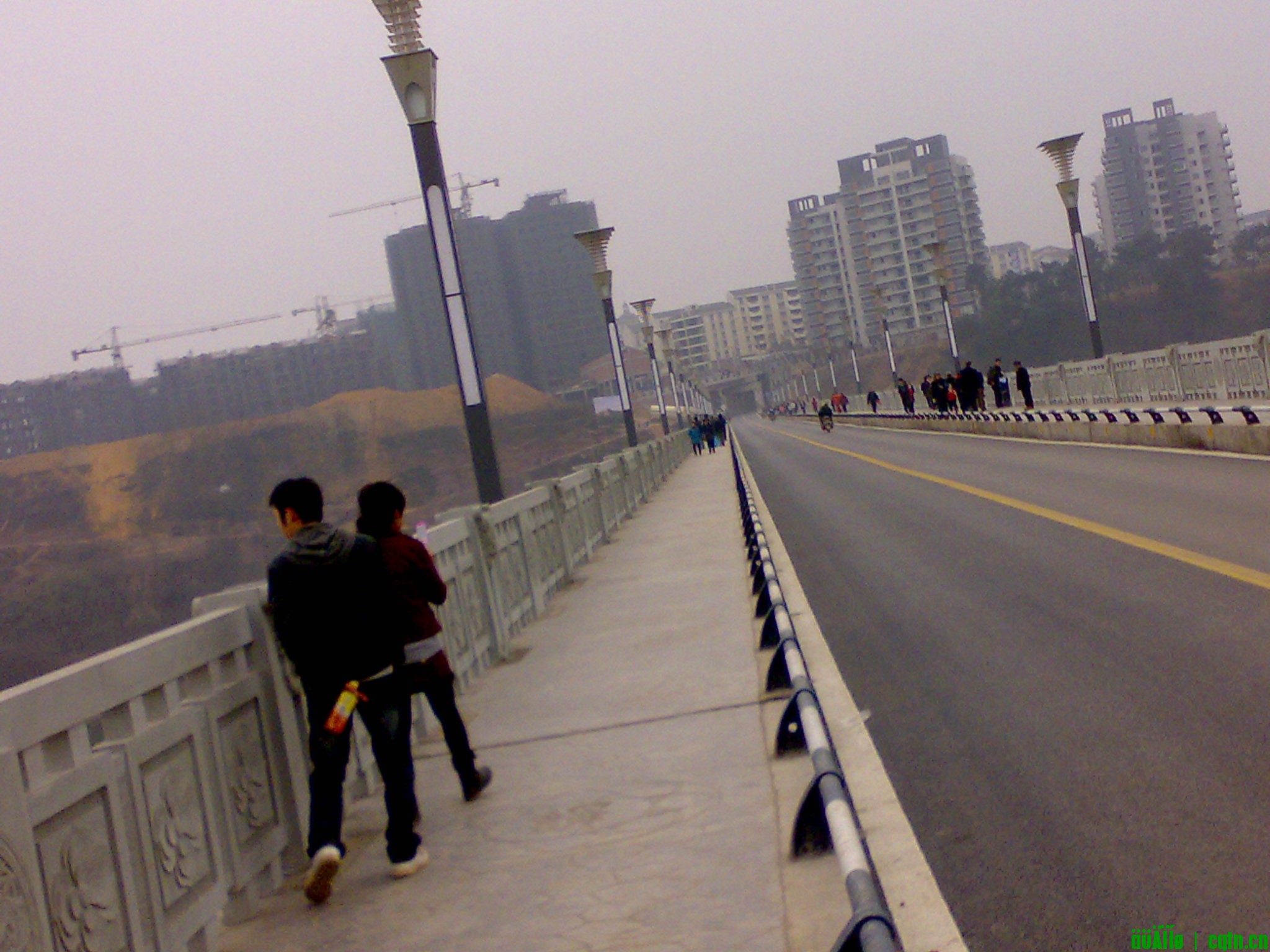 20100222263.jpg