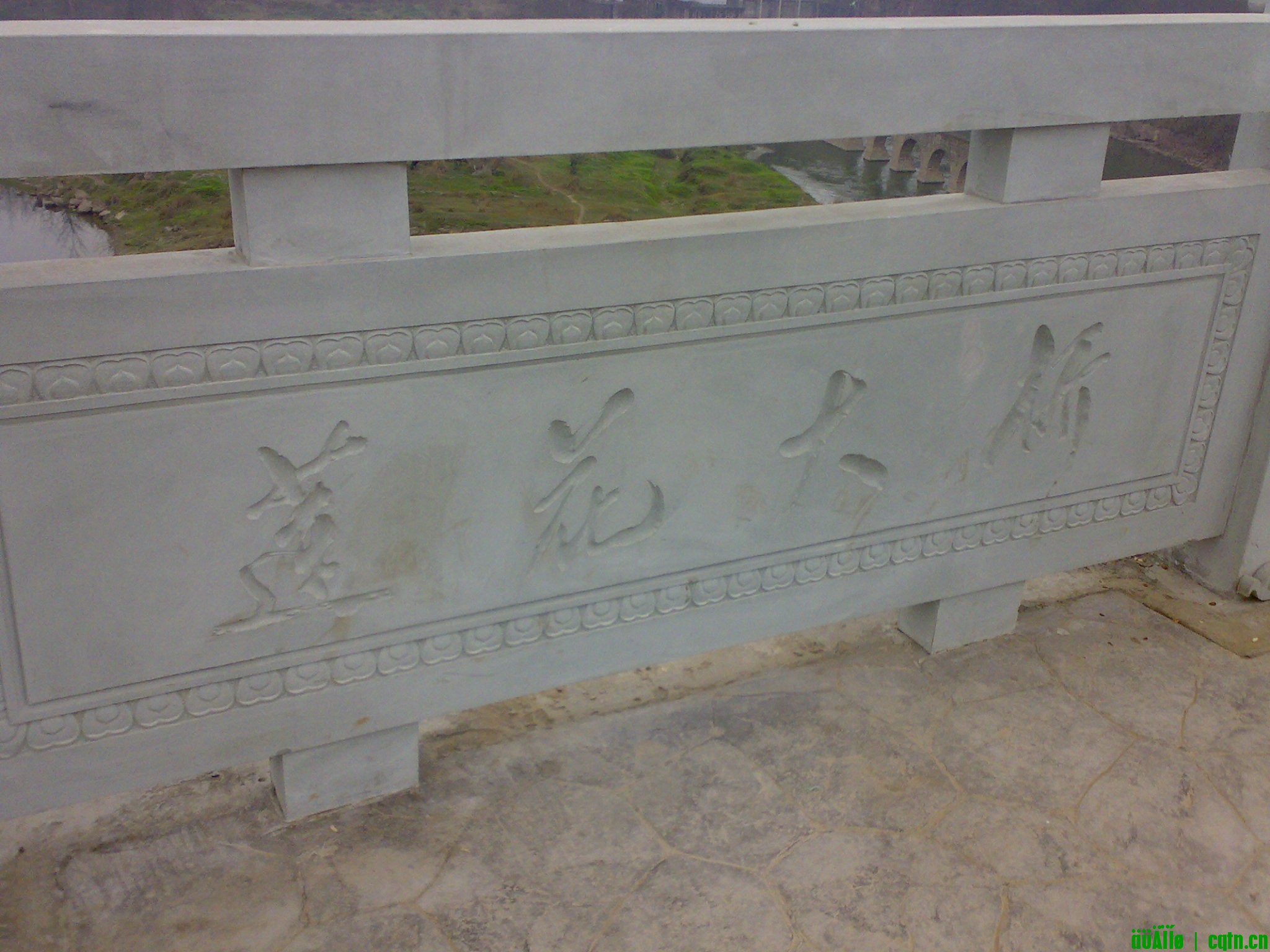 20100222268.jpg