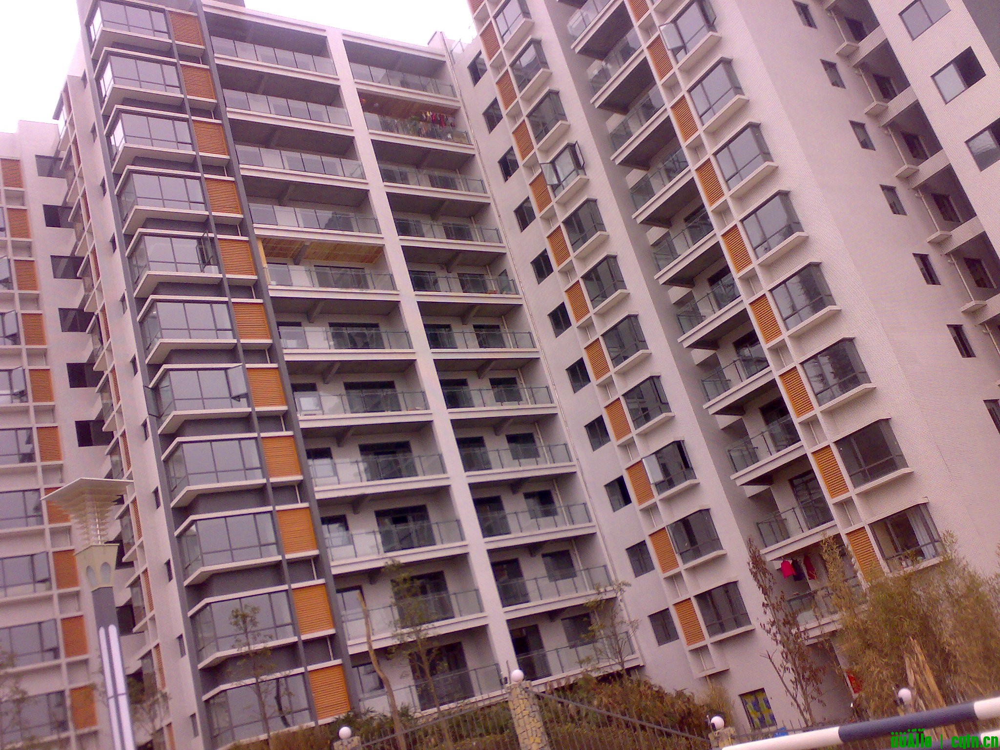 20100222270.jpg