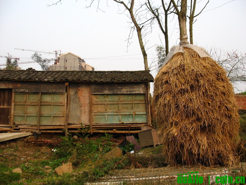 莲花寺18.jpg