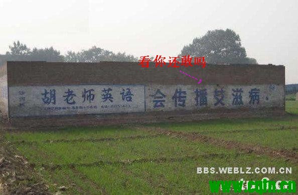 学英语.jpg