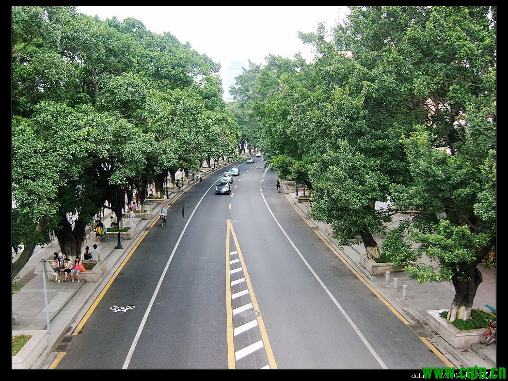 很喜欢这样的环境，这样的街道，黑色的路面，高大的绿化，新鲜的空气