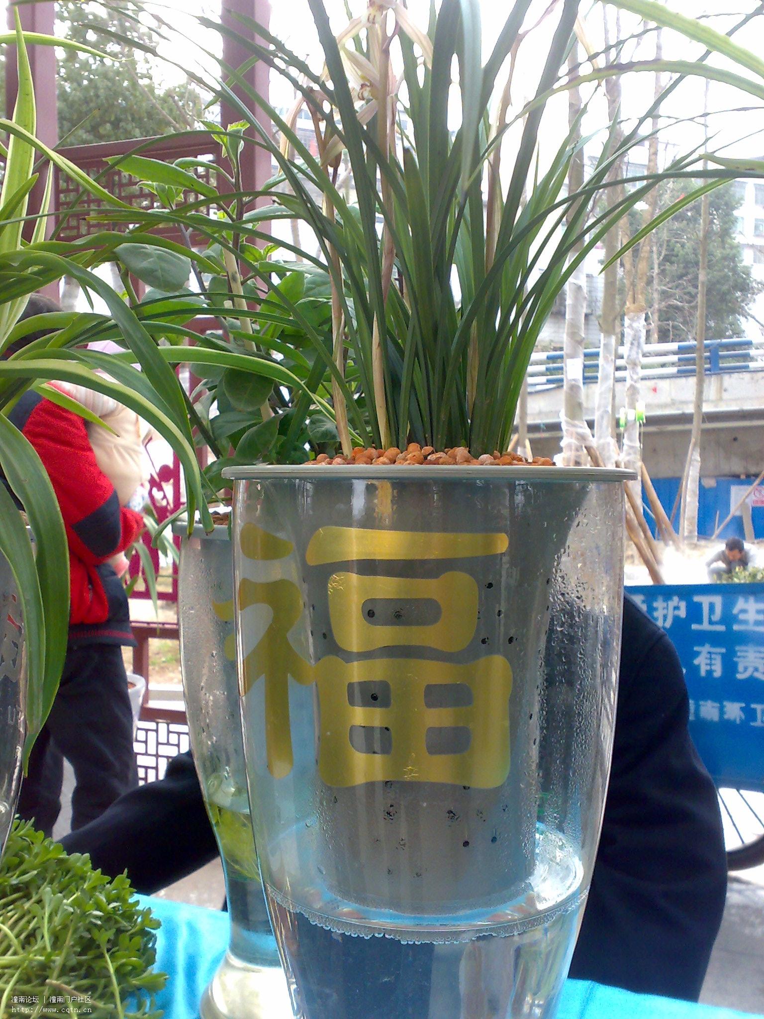 20110306499.jpg