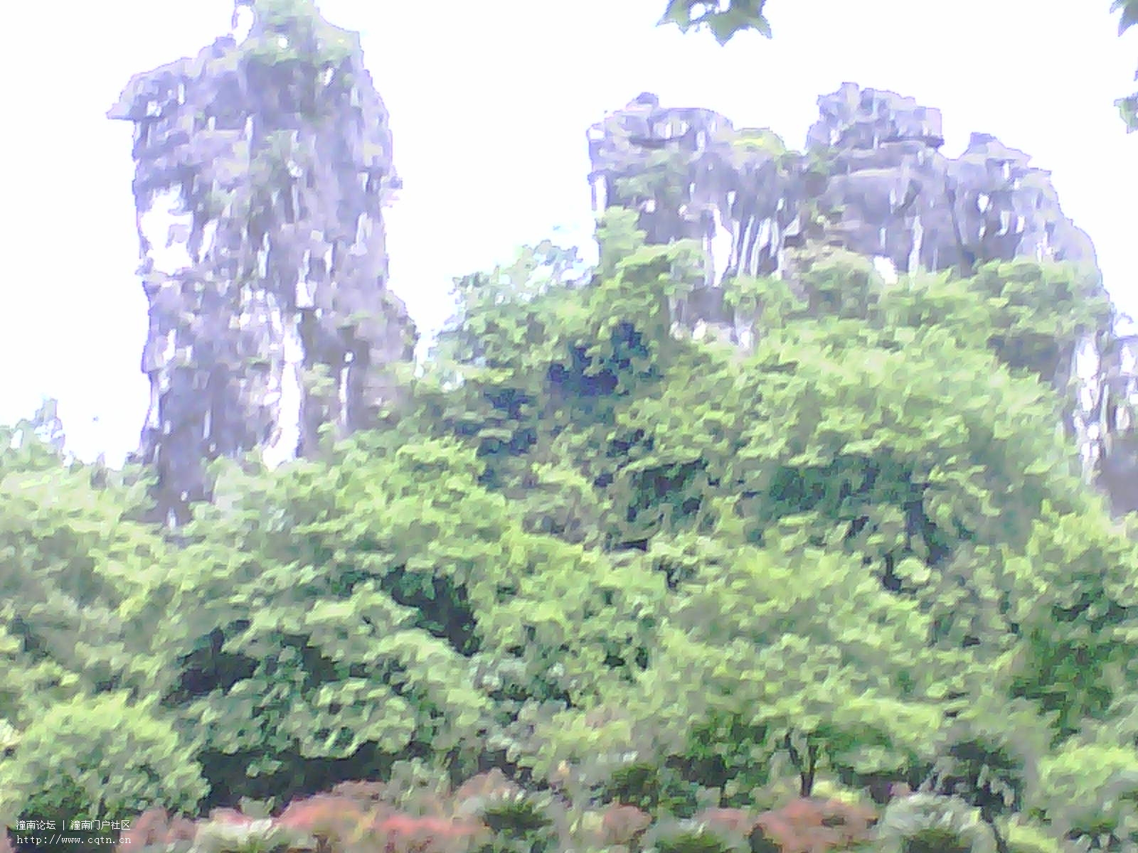 20110504_1145_0.jpg