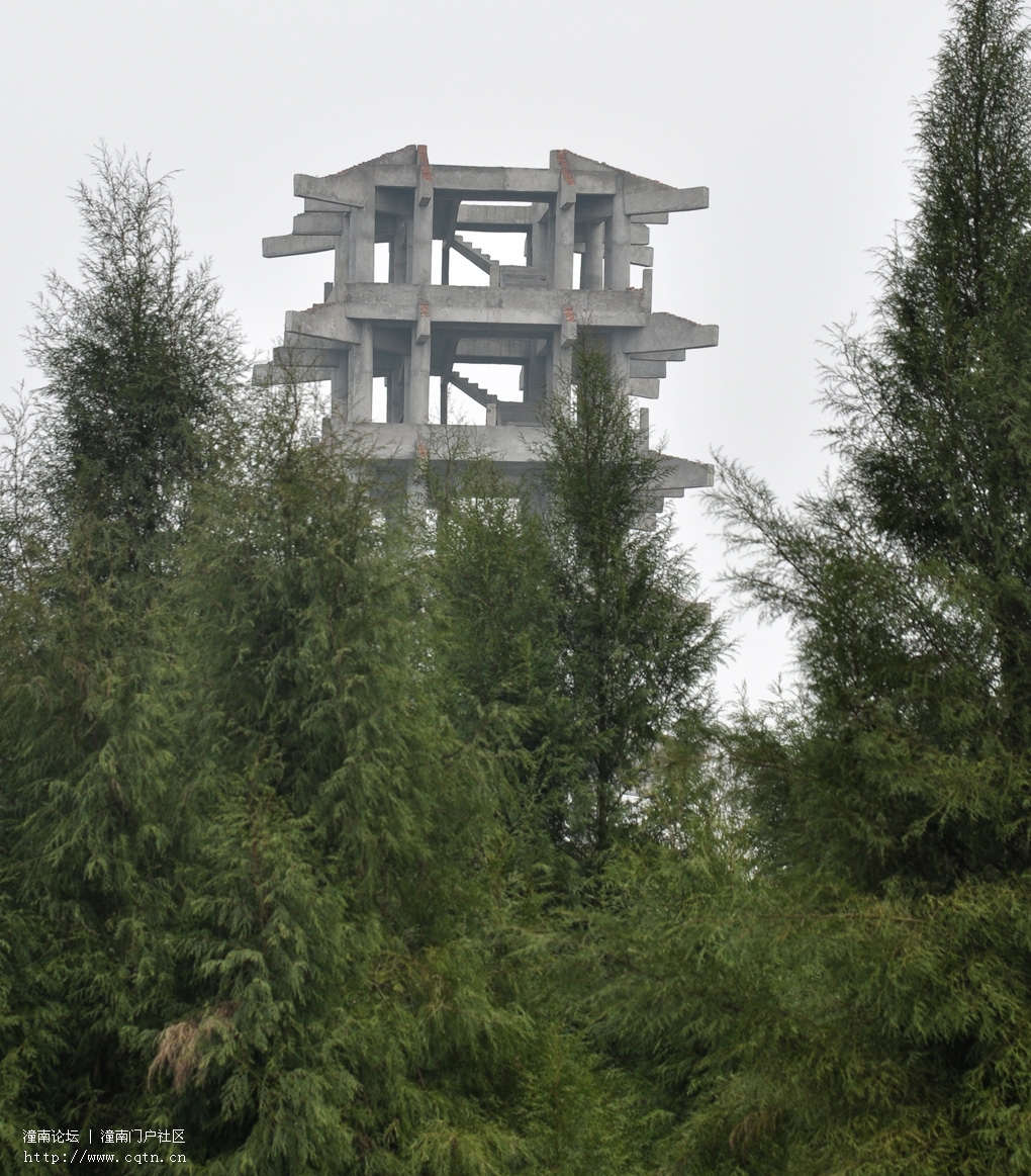 DSC_2104.jpg