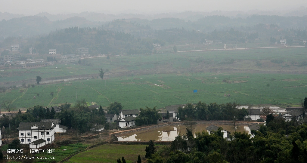 DSC_2054.jpg
