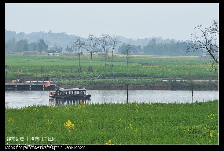 DSC_6966.jpg