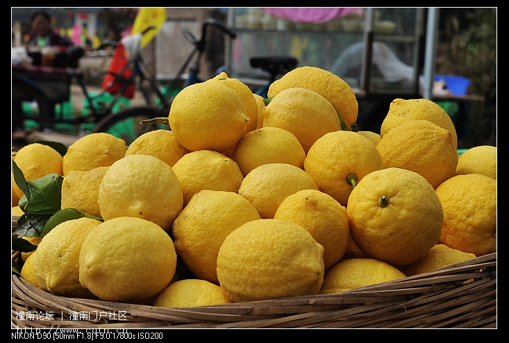 DSC_6640.jpg