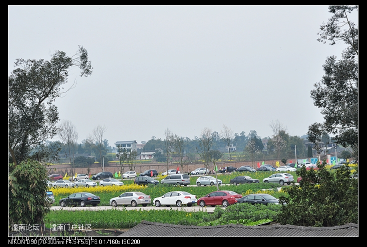 DSC_6665.jpg