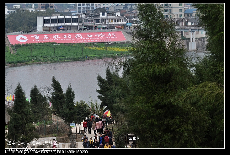 DSC_6735.jpg