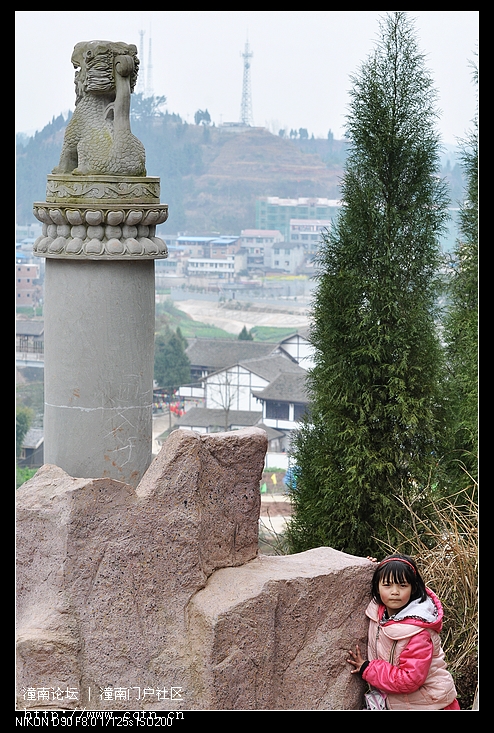 DSC_6884.jpg