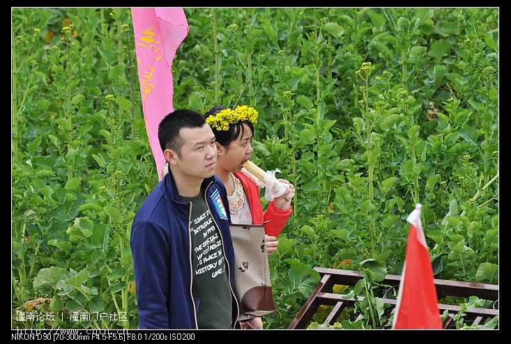 DSC_6931.jpg