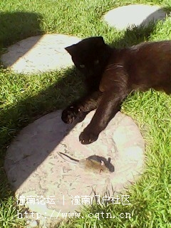 IMG0337A.jpg
