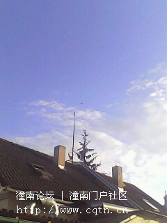 IMG0318A.jpg