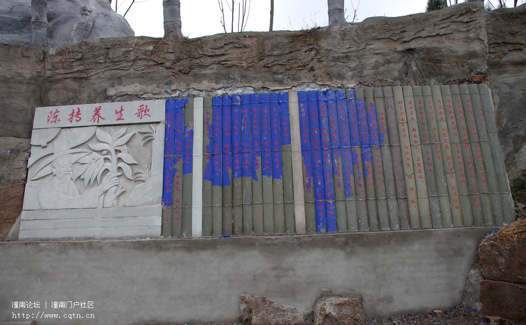 IMGP3585.jpg