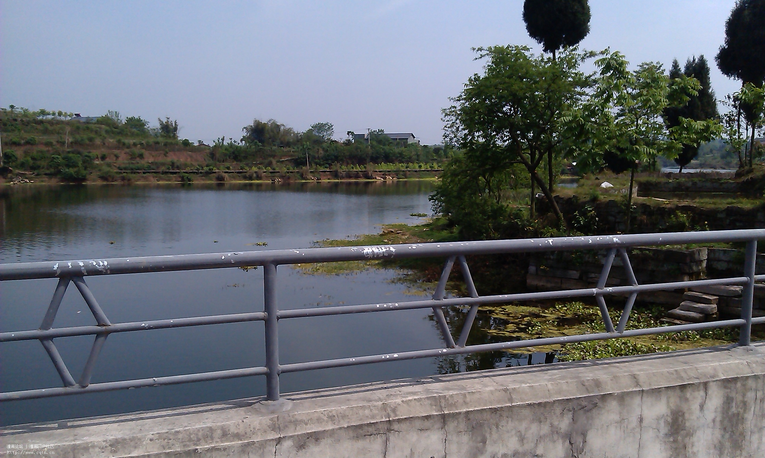 IMAG0591.jpg