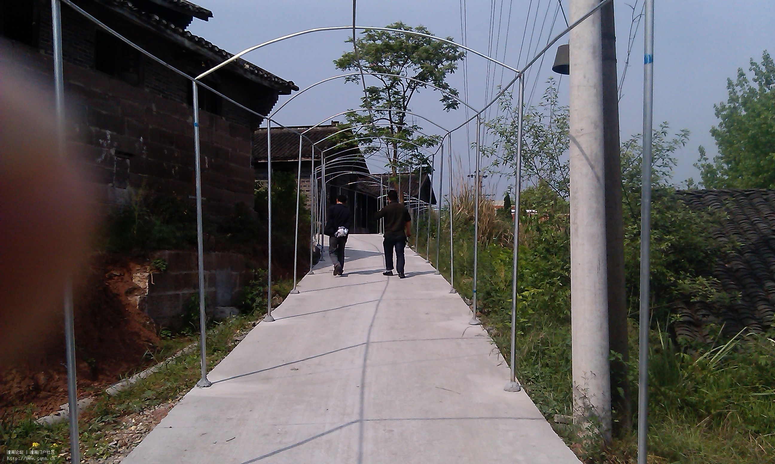 IMAG0661.jpg