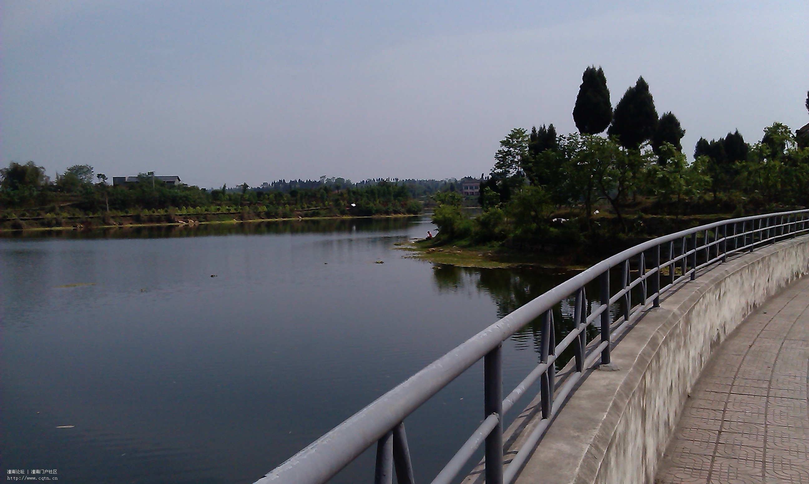 IMAG0597.jpg